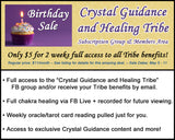 BIRTHDAY SALE: Crystal Guidance Tribe Group Membership
