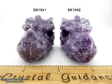 Lepidolite Dragon Crystal Skull (Free Shipping)