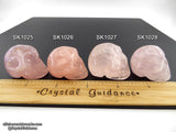 Rose Quartz (Star) Crystal Skull (Free Shipping)