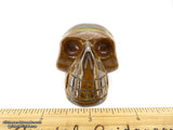 Tiger's Eye Crystal Skull (Free Shipping)