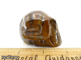 Tiger's Eye Crystal Skull (Free Shipping)