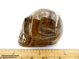 Tiger's Eye Crystal Skull (Free Shipping)