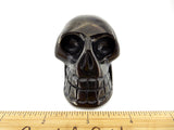 Shungite Crystal Skull (Free Shipping)