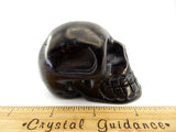 Shungite Crystal Skull (Free Shipping)