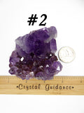 Amethyst Cluster