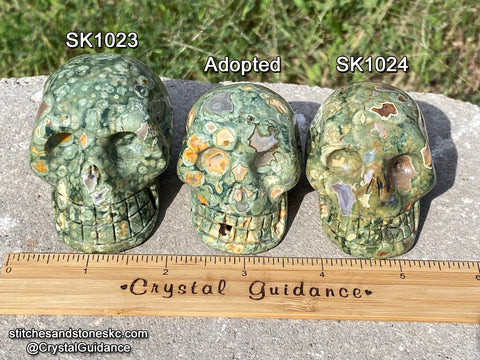 Rainforest Rhyolite Crystal Skull (Free Shipping)