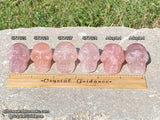 Rose Quartz (Star) Crystal Skull (Free Shipping)