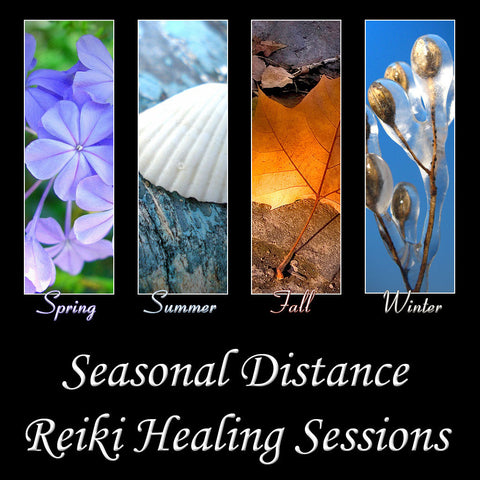 Reserved Listing: Seasonal Chakra Healing 2024 Correction