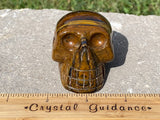 Tiger's Eye Crystal Skull (Free Shipping)